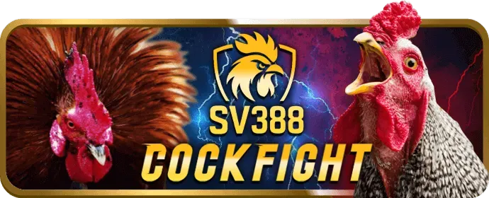 Tương thích di động của kwin68 casino